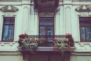 jakie rośliny na słoneczny balkon